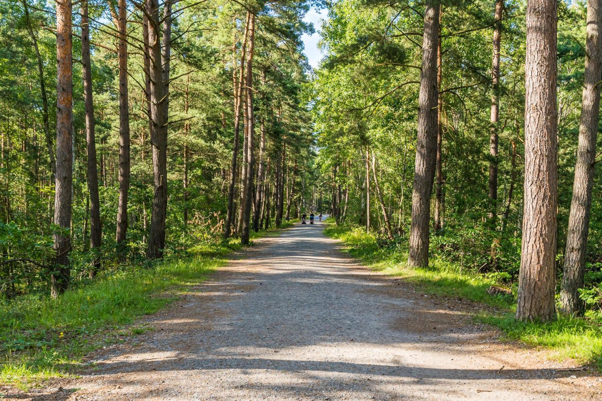 Villa Bursztynowo Mikoszewo Esterno foto
